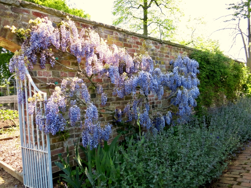 The Old Vicarage, Burley